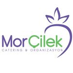 Mor Çilek Logo